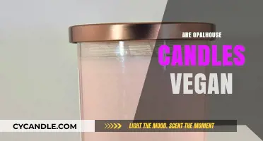 Opalhouse Candles: Vegan-Friendly or Not?