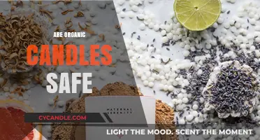 Are Organic Candles Safe? Unveiling the Truth Behind Natural Wax