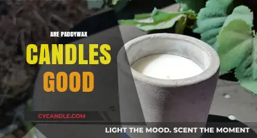 Paddywax Candles: Are They Worth the Hype?
