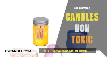 Paddywax Candles: Are They Non-Toxic?