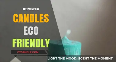 Are Palm Wax Candles Eco-Friendly? Unveiling the Green Truth
