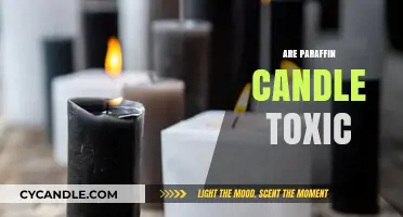 Paraffin Candles: Are They Toxic to Your Health?