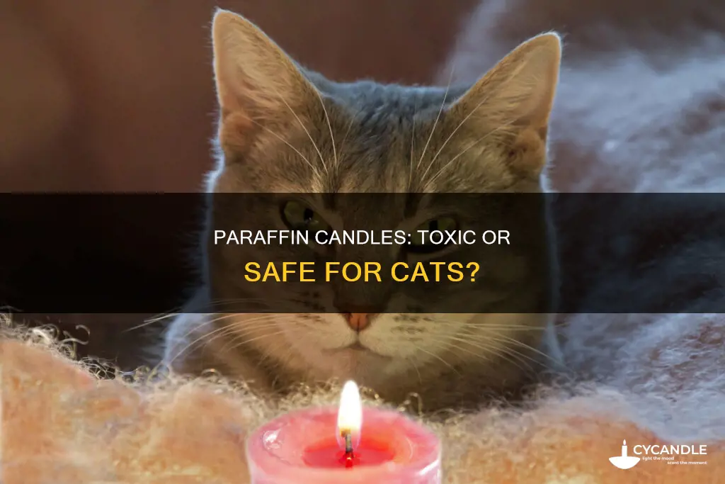 are paraffin candles bad for cats