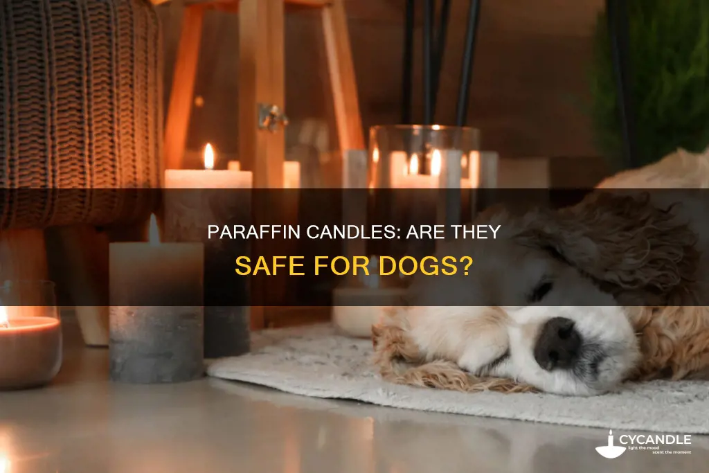 are paraffin candles bad for dogs