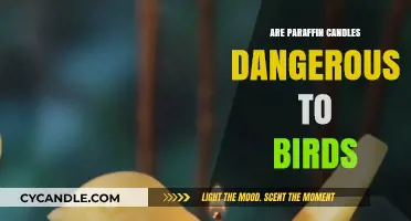 Paraffin Candles: Toxic Fumes, Birds at Risk?