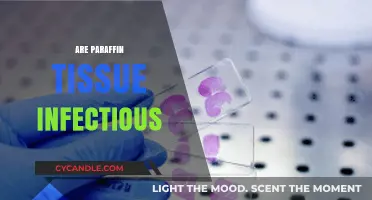Are Paraffin-Embedded Tissues Infectious? Unraveling the Safety Concerns