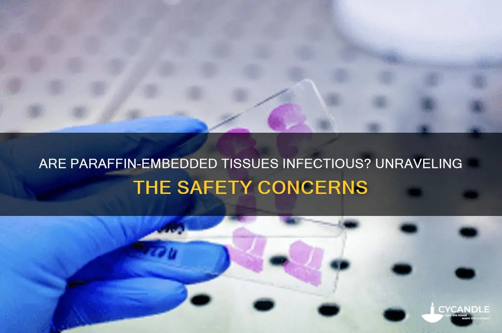are paraffin tissue infectious