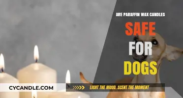 Are Paraffin Wax Candles Safe for Dogs? What Pet Owners Need to Know