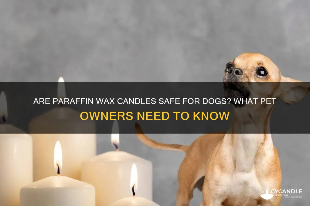 are paraffin wax candles safe for dogs