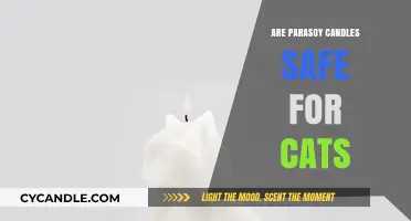 Are Parasoy Candles Safe for Cats? A Pet-Friendly Guide