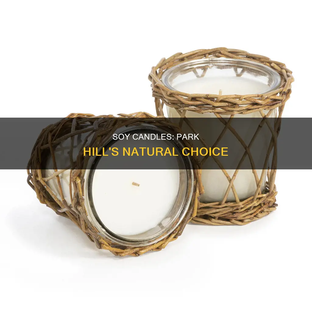 are park hill candles made from soy