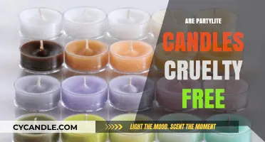 Partylite Candles: Cruelty-Free or Not?
