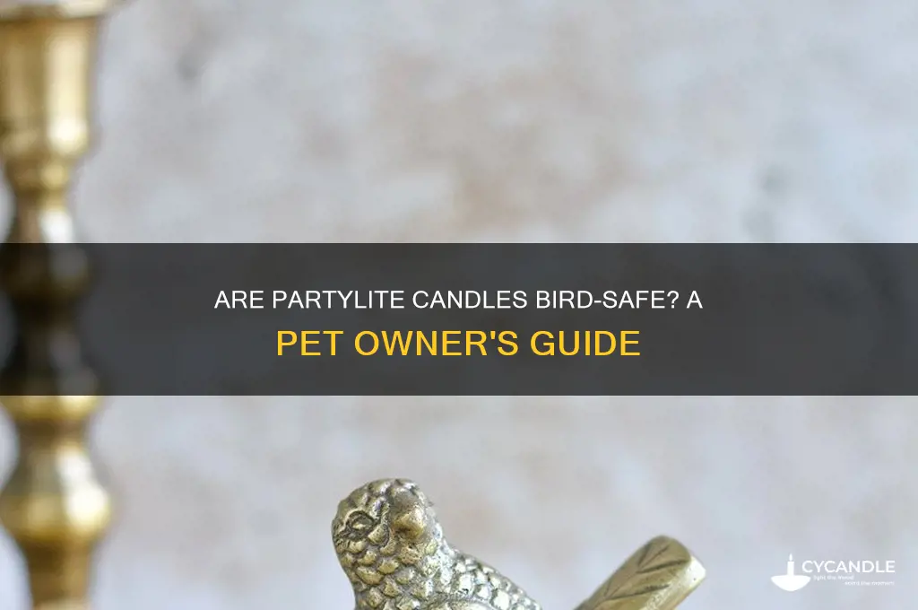are partylite candles safe for birds