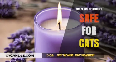 Are Partylite Candles Cat-Safe? A Pet Owner's Guide