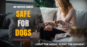 Are PartyLite Candles Dog-Safe? A Pet Owner's Guide