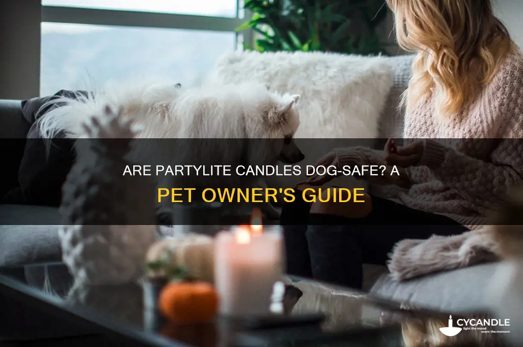 are partylite candles safe for dogs