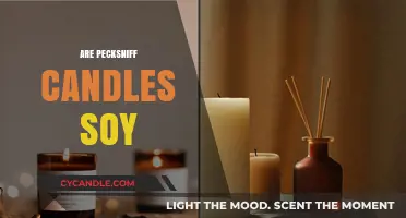 Pecksniff Candles: Soy or Paraffin?
