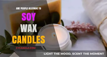 Soy Wax Candles: Uncovering the Truth About Allergic Reactions