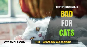 Peppermint Candles: Safe or Toxic for Cats?