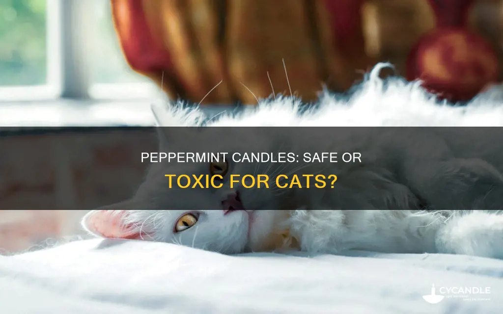 are peppermint candles bad for cats