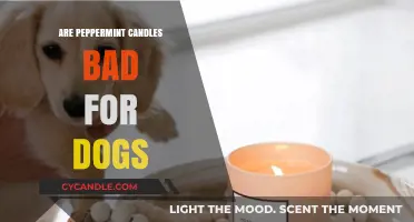 Peppermint Candles: Safe or Toxic for Dogs?