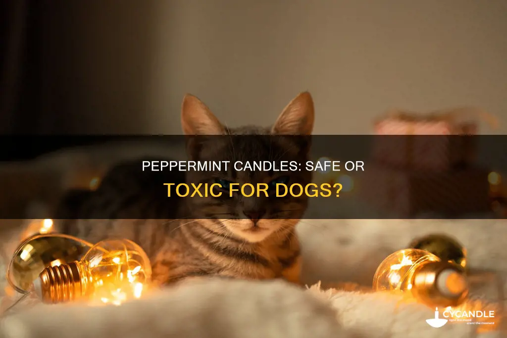 are peppermint candles bad for dogs