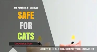 Are Peppermint Candles Safe for Cats? Essential Pet Safety Tips