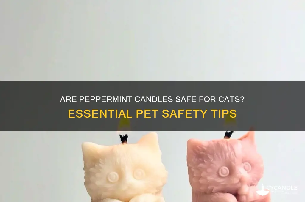 are peppermint candles safe for cats