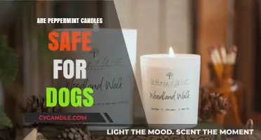 Are Peppermint Candles Safe for Dogs? A Pet Owner's Guide