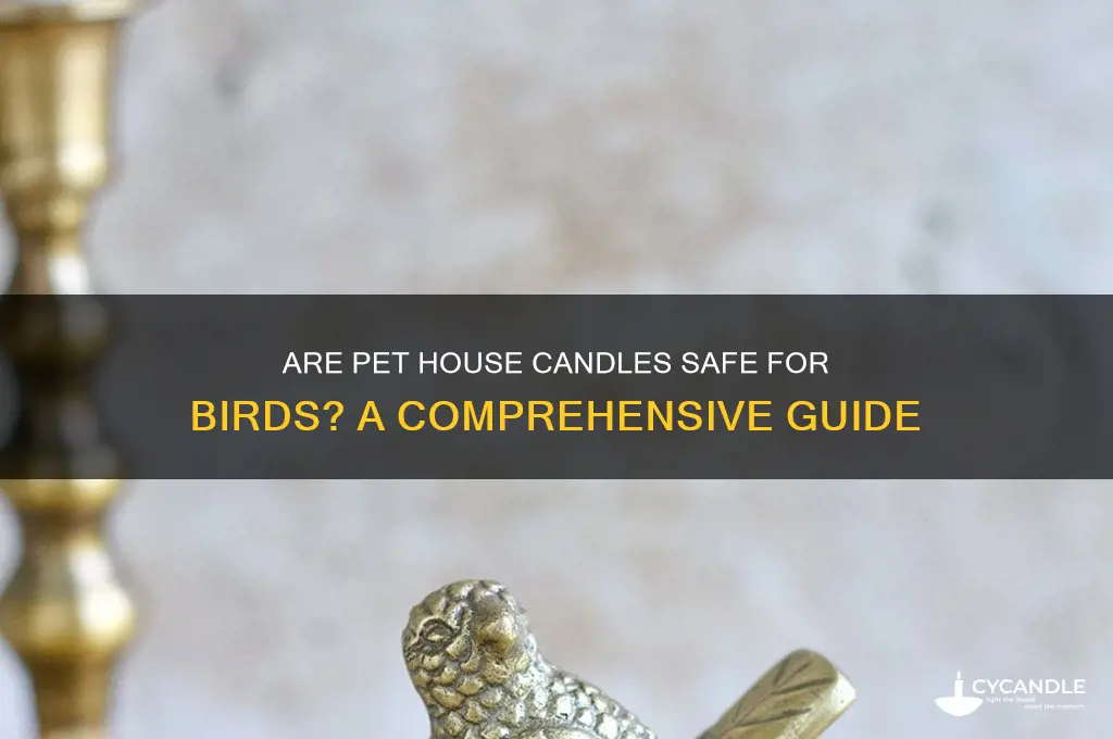 are pet house candles safe for birds