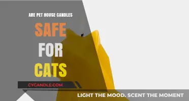 Are Pet House Candles Safe for Cats? A Comprehensive Guide