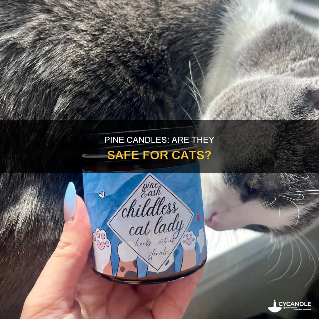 are pine candles bad for cats