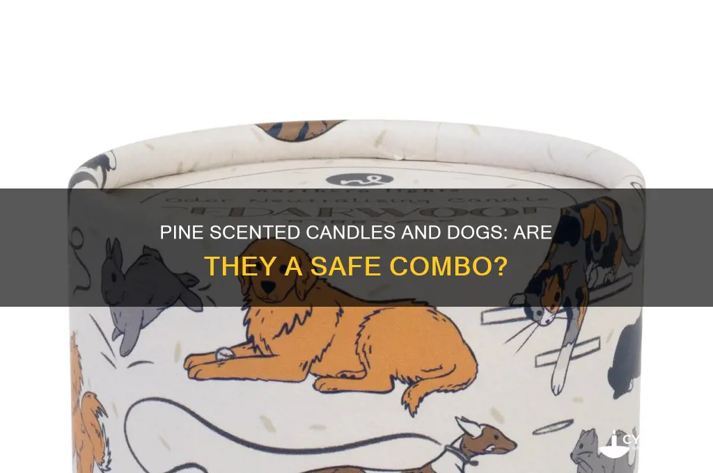 are pine scented candles bad for dogs