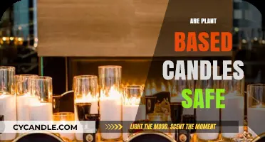 Are Plant-Based Candles Safe? Exploring Eco-Friendly Wax Benefits