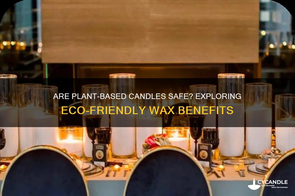 are plant based candles safe