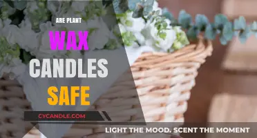 Are Plant Wax Candles Safe? Unveiling Eco-Friendly Lighting Truths