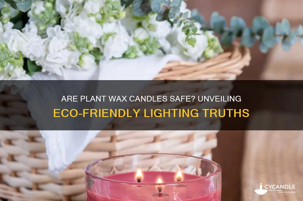 are plant wax candles safe