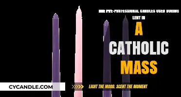 Lenten Catholic Mass Candles: Are Pre-Professional Options Lit?