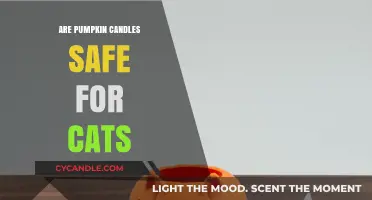 Are Pumpkin Candles Safe for Cats? A Pet Owner's Guide