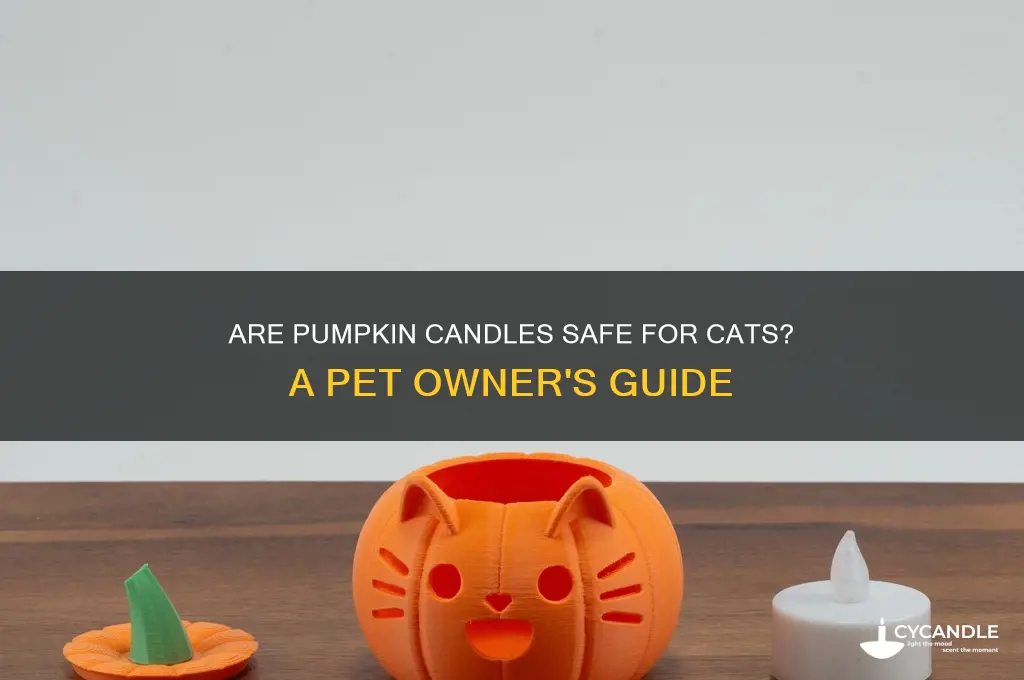 are pumpkin candles safe for cats