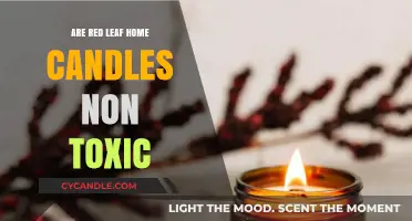 Red Leaf Home Candles: Non-Toxic and Safe?