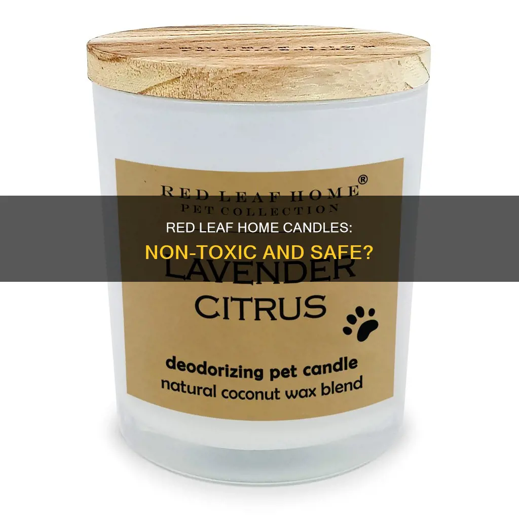 are red leaf home candles non toxic