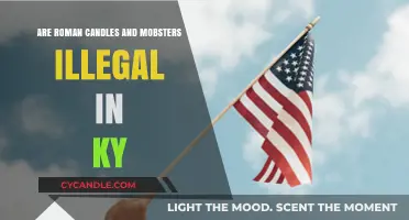 Roman Candles and Mobsters: Kentucky's Illegal Pastimes