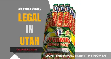 Roman Candles: Utah's Legal Fireworks Display