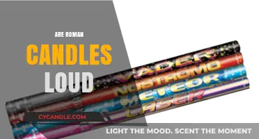 Roman Candles: Loud and Dangerous?