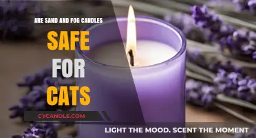Are Sand and Fog Candles Safe for Cats? A Pet-Friendly Guide