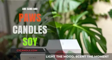 Soy Candles: Sand & Paws' Natural Choice
