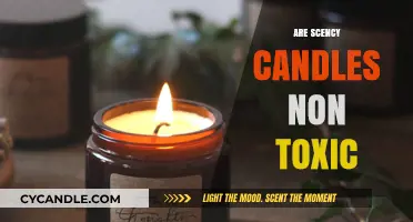 Scented Candles: Are They Safe to Breathe?