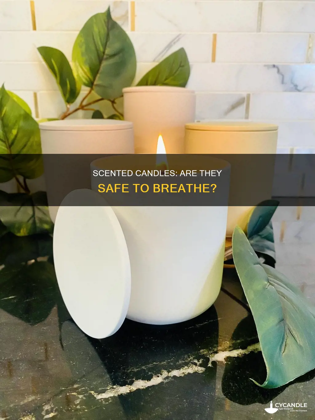 are scency candles non toxic
