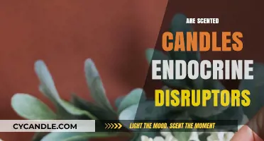 Scented Candles and Hormones: Are They Endocrine Disruptors?